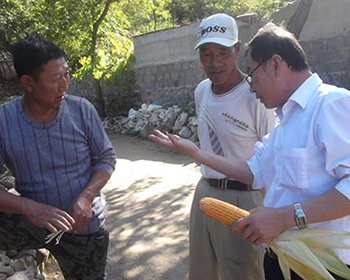辽宁化肥厂家
